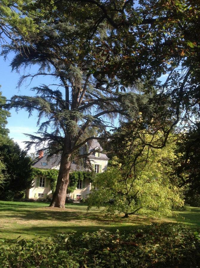 Château de La Villette Ardentes Exterior foto